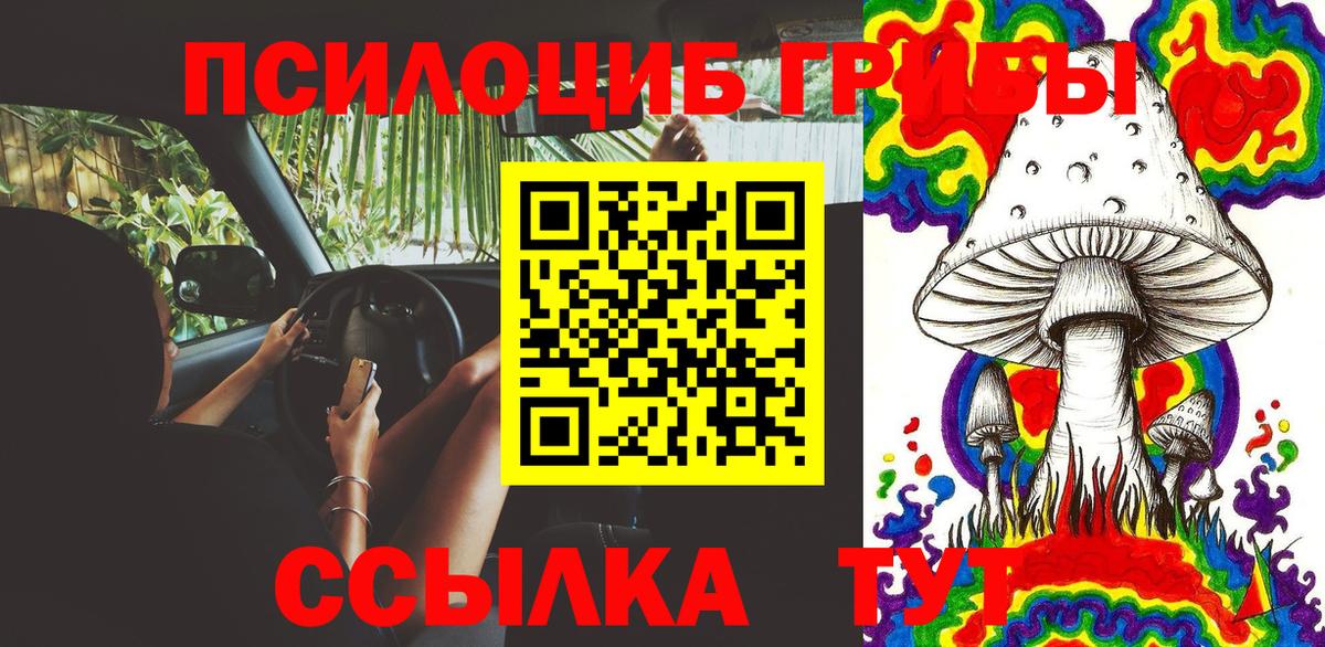 Псилоцибиновые грибы мухоморы Фролово