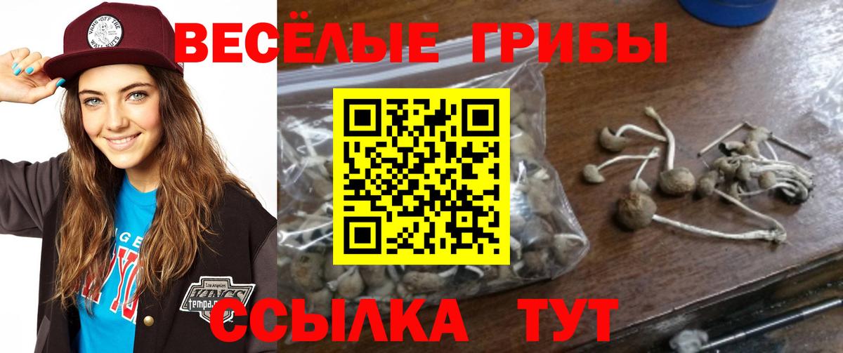 A-PVP Фролово