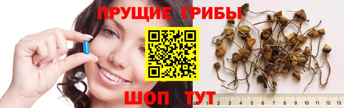 Галлюциногенные грибы Psilocybine cubensis  Псилоцибиновые грибы ЛСД  Вход с VPN  Фролово 